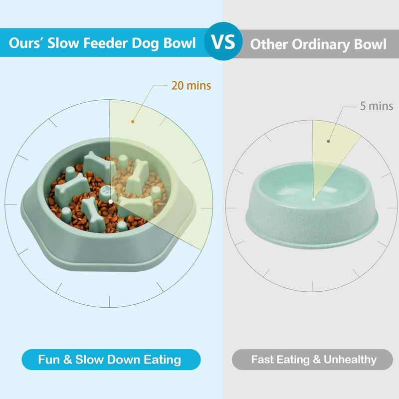 UPSKY Slow Feeder Dog Bowl Anti-Chocking Dog Feeder Bone Pattern Interactive Dog Food Bowl Non-Slide Dog Lick Bowl for Small Medium Dogs Blue+Green - PawsPlanet Australia