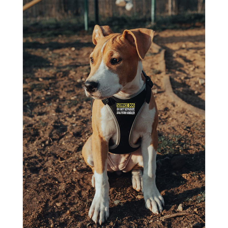 4 Pcs Reflective Dog Patches for Service Dog Vest Tactical Hook Loop Harness Removable Patch Set with Velcro Embroidered, Best Friend & Don’t Pet Me Dog & do not Separate (Best Friend) - PawsPlanet Australia
