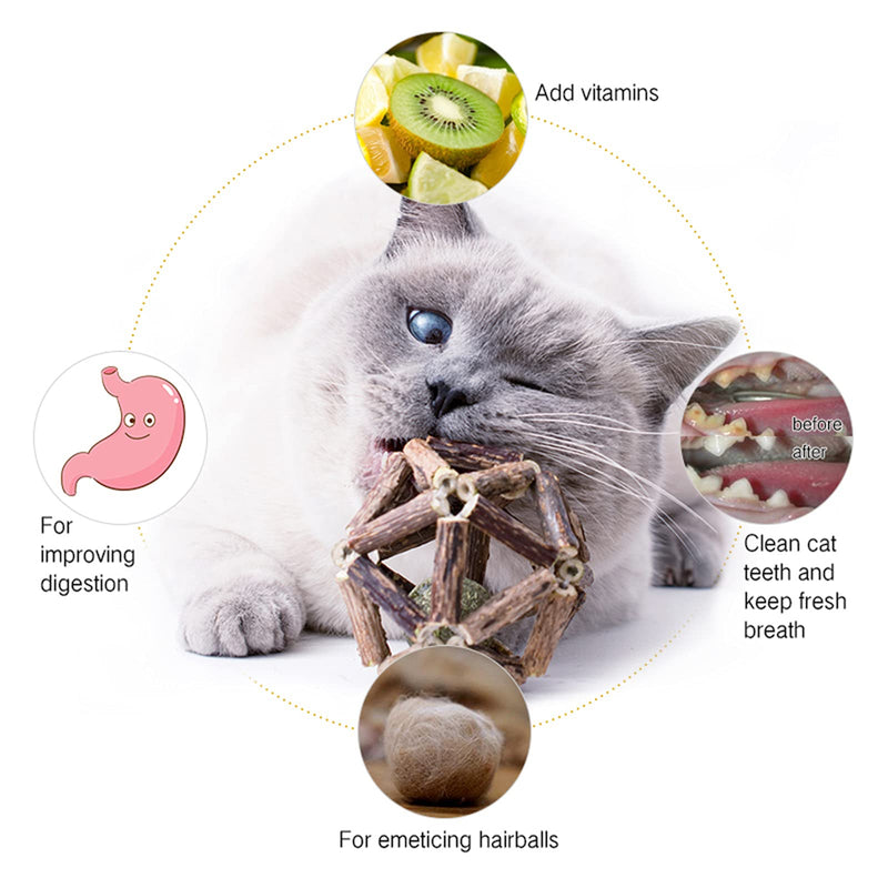 Gochanmon Catnip Toys-2Psc Natural Silvervine Stick Catnip Ball&Bell Ball-Cat Toys for Indoor Cats- Cleaning Teeth Molar Tools Matatabi Cat Chew Toy-Kitten Toys - PawsPlanet Australia