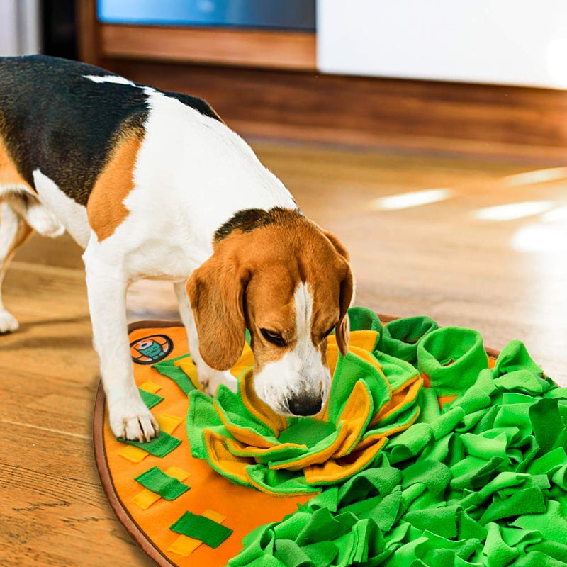 AWOOF Snuffle Mat for Dogs, Dog Nosework Feeding Mat, Pet Interactive Dog Puzzle Toys Encourages Natural Foraging Skills for Training and Stress Relief - PawsPlanet Australia