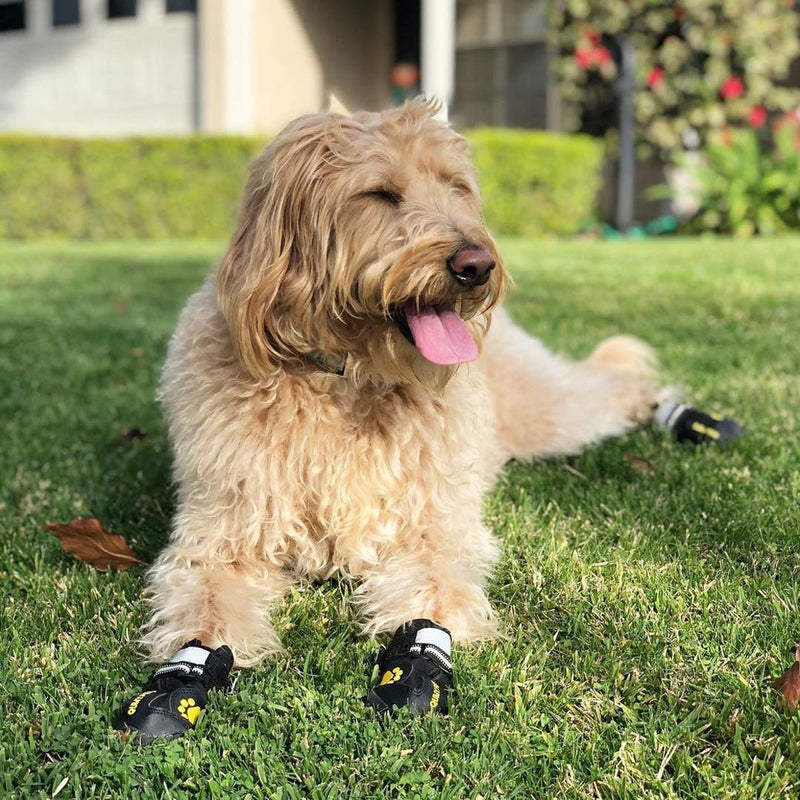 QUMY Dog Boots Waterproof Shoes for Dogs with Reflective Strape Rugged Anti-Slip Sole Black 4PCS (size 2: 2.4"x1.8"(L*W), Black-b) Size 2: (W*L) 1.8x2.4 inch (Pack of 4) - PawsPlanet Australia
