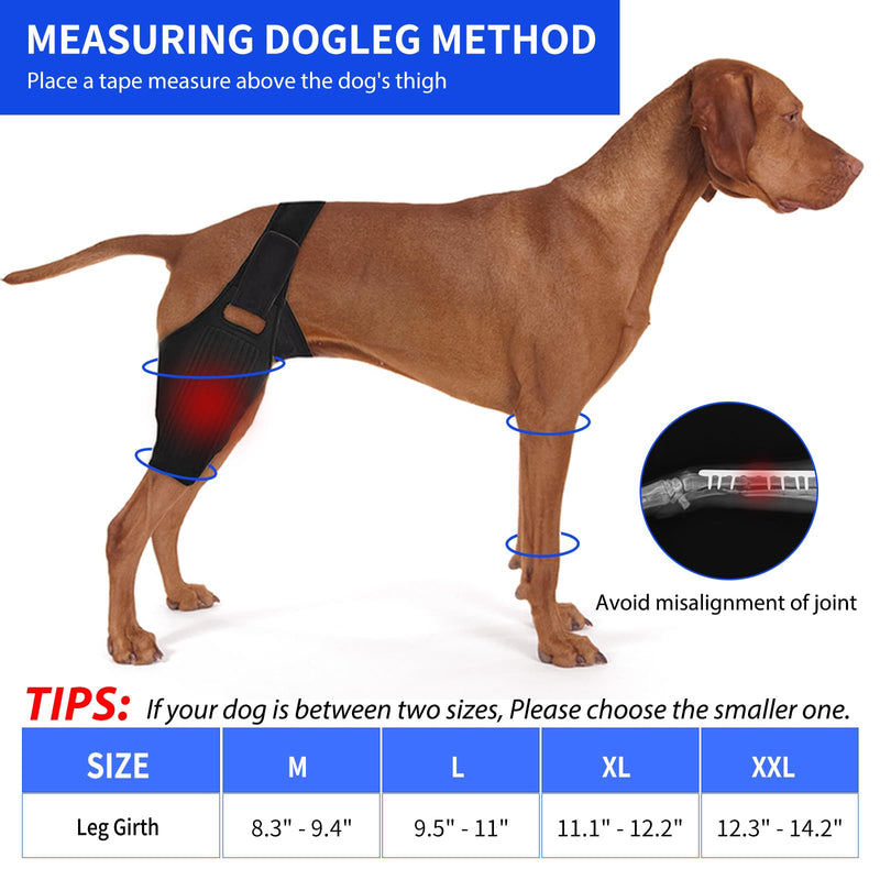 Dog Knee Brace Leg Braces - Dog Canine Knee Brace with 9 Metal Stabilizers Dog Knee Brace for Torn ACL Muscle Sore Hind Leg Joint Pain Reduces Inflammation (XL) XL - PawsPlanet Australia