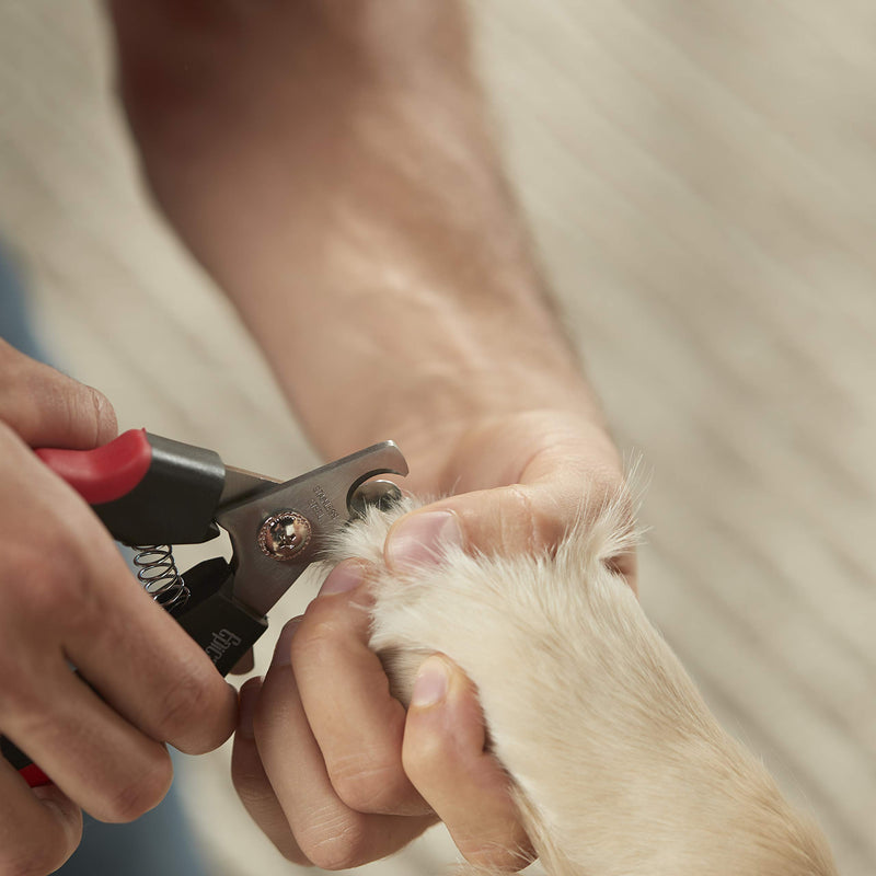 [Australia] - Franklin Pet Supply – Dog & Cat Nail Clippers with Safety Guard – Grooming – Stainless Steel – Professional Grade 