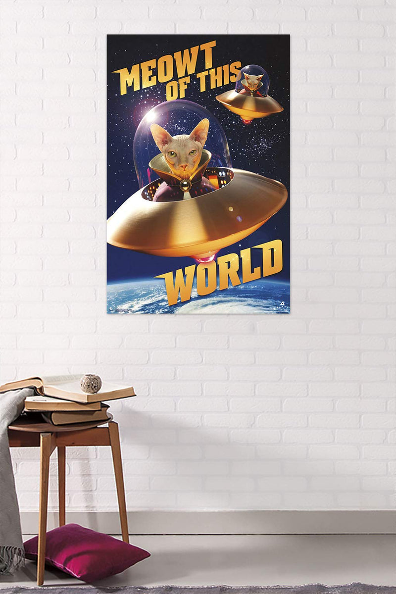 [Australia] - Trends International Avanti - Galaxy Cats, 22.375" x 34", Premium Unframed 