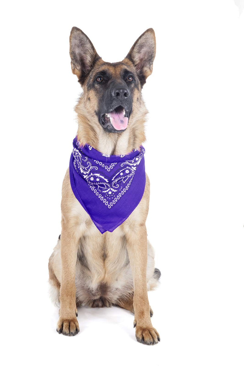 [Australia] - Balec Paisley Polyester Pets 6 Pack Dogs Bandana Triangle Shape - Oversized Mix Colors 