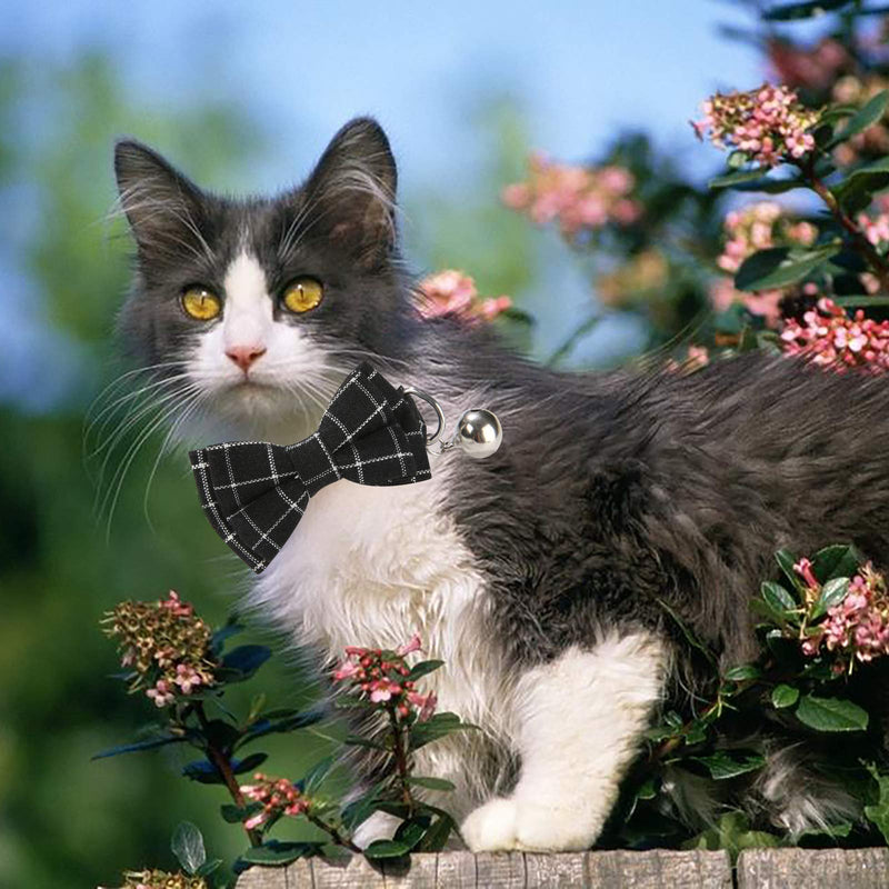 Cat Collar,2 Pack Kitten Collar Adjustable-Pet Collars for Boy Cats-Breakaway Cat Collar with Bow Tie and Bell-Ideal Gift for Kitty Puppy (Classcial-Black+Gray) Classcial-Black+Gray - PawsPlanet Australia