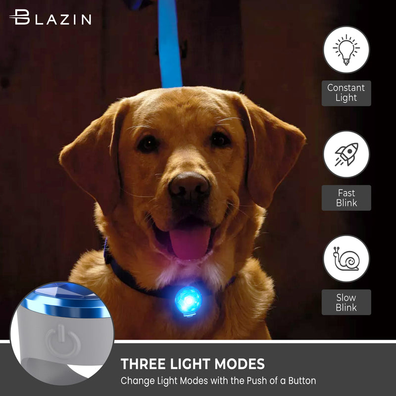 Blazin Safety LED Dog Collar Light - Visible from up to 150 Feet Away - USB-C Rechargeable Battery Runs up to 20 hours on Single Charge - Waterproof (Blue) Blue - PawsPlanet Australia