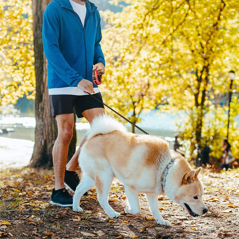 Pet Leash, Automatic Telescopic Traction Rope Chain, Automatic Retractable Durable Traction Rope, Pet Traction Rope, Dog Leash, Hiking Rope, for Small and Medium Dogs (Red) - PawsPlanet Australia