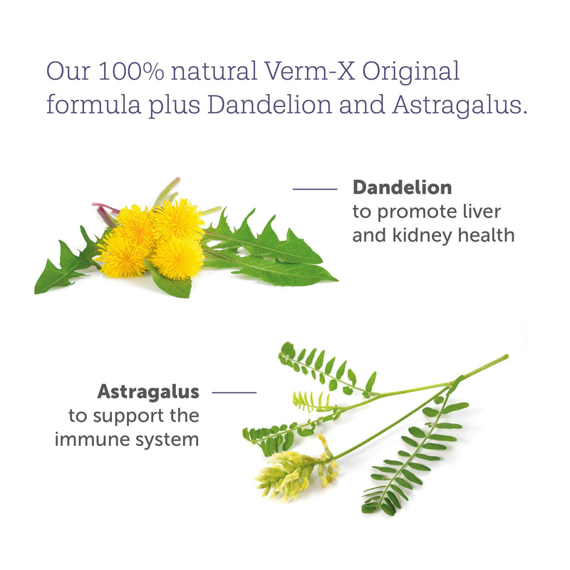 Verm-X Daily Plus 100% Natural Pellets for Horses. With Added Dandelion and Astragalus for Intestinal Hygiene, Liver and Kidney Function and Immune System. Vet Approved. Wormwood Free Recipe. - PawsPlanet Australia