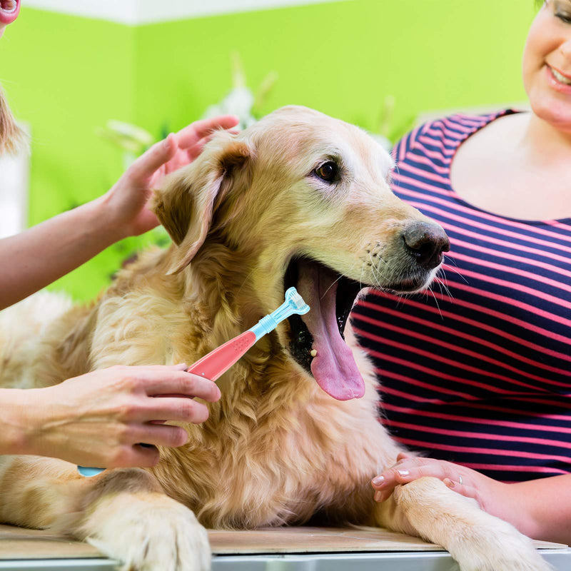 10 Pieces Pet Toothbrush Set, Include 5 Pieces 3-Sided Dog Toothbrush and 5 Pieces Silicone Dog Finger Toothbrush for Small to Large Dogs Cats Maintaining Dental Cleanliness - PawsPlanet Australia