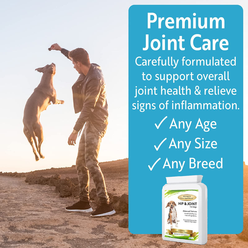 Advanced Hip and Joint Support Glucosamine for Dogs - Powerful Chondroitin, MSM, Curcumin & Green Lipped Mussel Dog Joint Supplement - with Vitamins E & C, 120 Tablets, made in UK (120 tablets) - PawsPlanet Australia