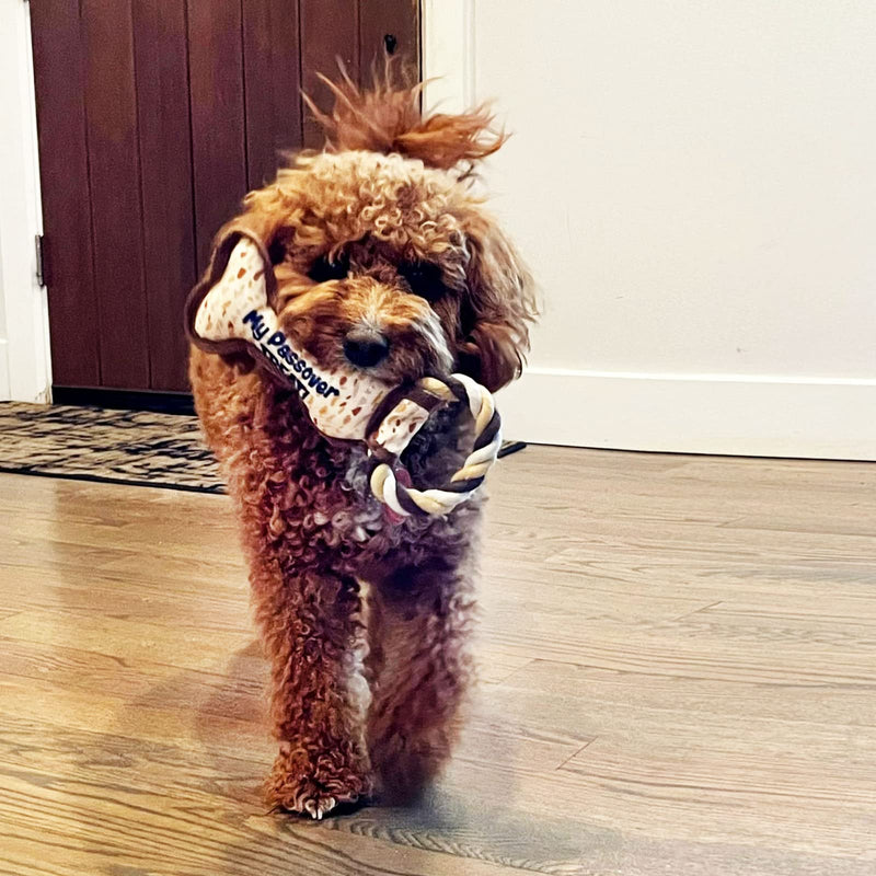 Rite Lite Chewdaica Passover Bone Squeaky Dog Toy, Perfect Passover Gift, Passover Dog Toys, Matzah Pattern Dog Toy, Passover Gifts for Dog Owners - PawsPlanet Australia