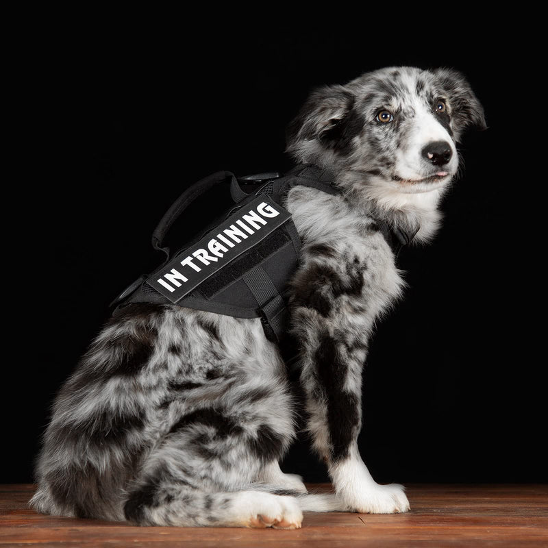 OneTigris Mini Mayhem Laser-Cut K9 Harness MOLLE Vest + Grab Handle Leash Clips for Small Medium Dog (Black, Extra Small) XS Black - PawsPlanet Australia