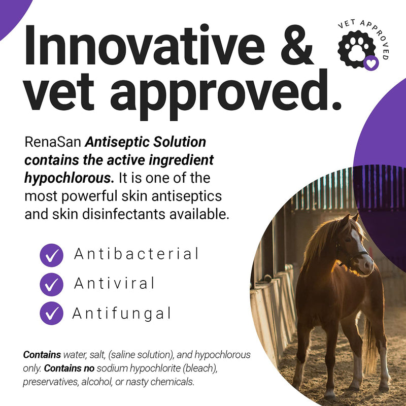 RenaSan Antiseptic Solution (5 Litre)  Alcohol-Free Antiseptic Wound and Skin Care for Animals, Dogs, Cats, Equine, Avian, Reptile - PawsPlanet Australia