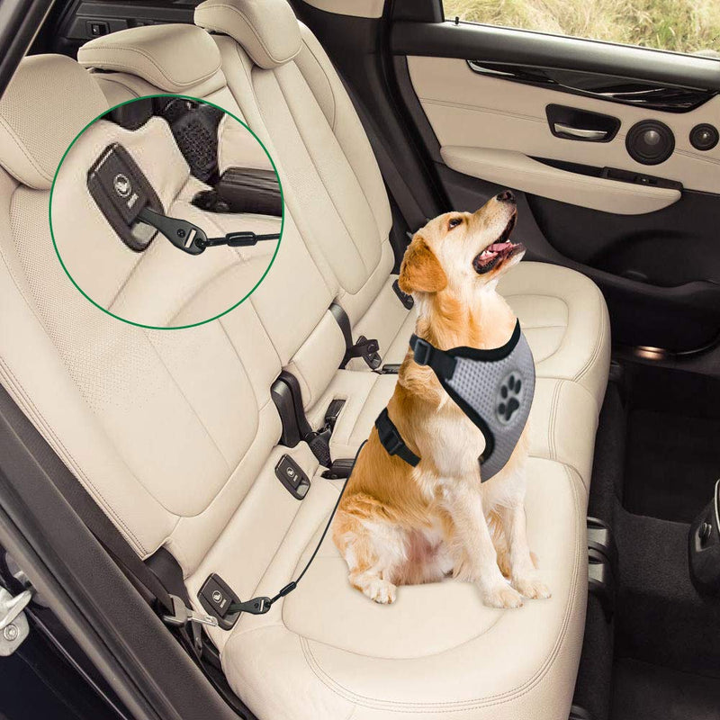 [Australia] - SlowTon Chew Proof Dog Seat Belt, Steel Cable Doggie Car Seatbelt 2 Packs Sturdy Safety Belt Puppy Vehicle Tether, with Latch Bar Attachment & Lockable Swivel Rock Climbers Carabiner Large - 2 Pack 