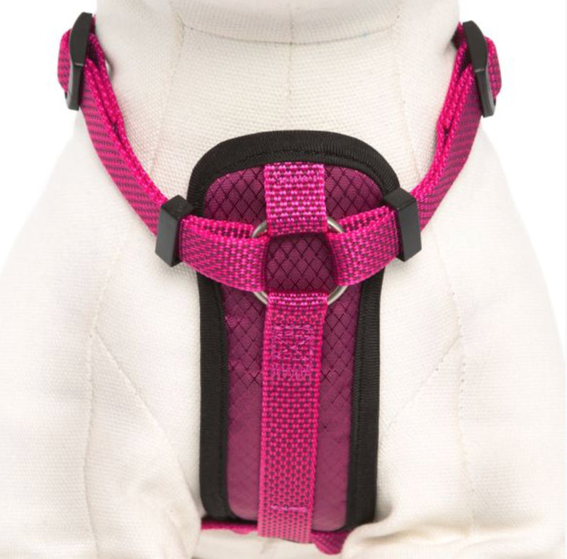 [Australia] - KONG Comfort Padded Chest Plate Dog Harness Offered by Barker Brands Inc. Medium Pink 