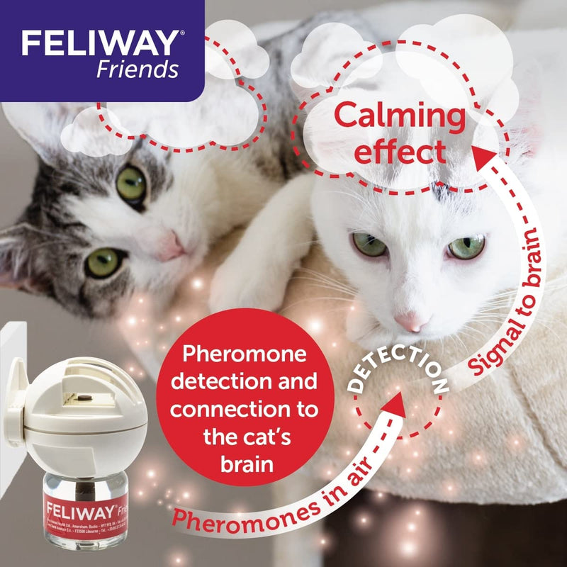 FELIWAY Friends refill bottle for cats | reduces conflicts & tensions such as chasing, fighting & staring | reduces conflict behavior for happy cats | 48ml Multi - PawsPlanet Australia