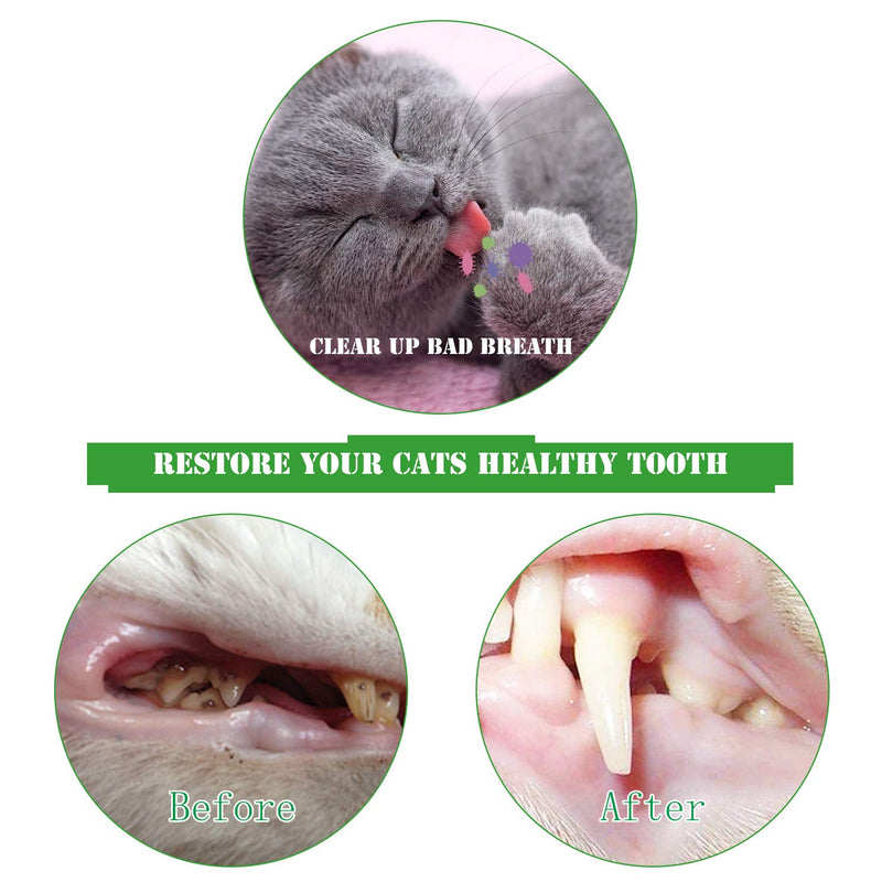 [Australia] - Cat Toothbrush Catnip Toy,Interactive Rubber Dental Care for Pet Kitten Kitty,Crayfish-Shaped Safe Chewing Toy Tooth Cleaning Durable Cat Toy Green 