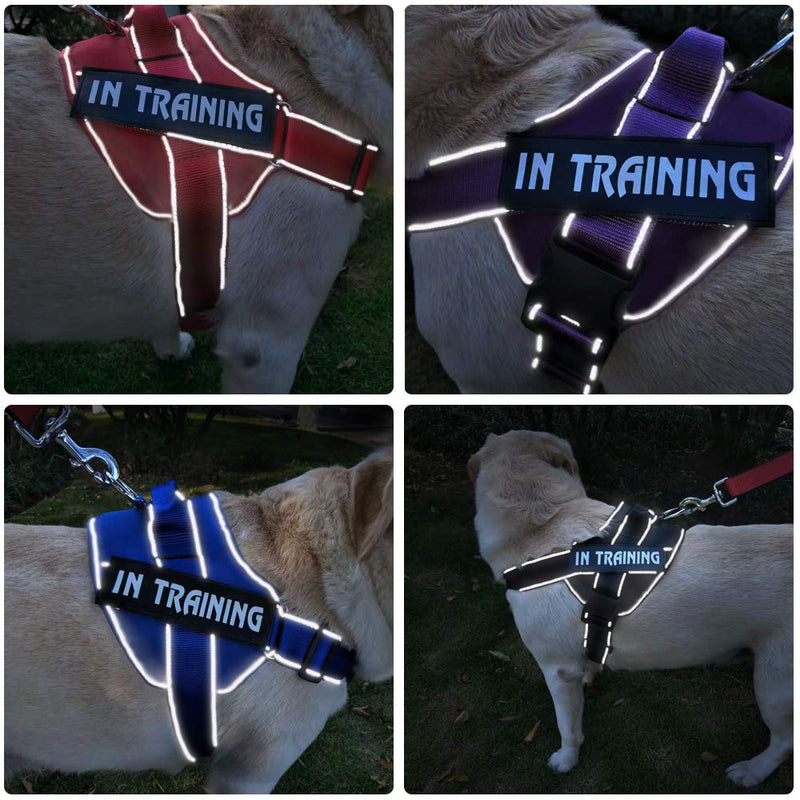 [Australia] - JAD Upgrade Dog Training Harness No Pull Adjustable Outdoor Pet Harness, 3M Reflective Oxforb Pet Vest for Small Medium Large Dogs Extra Large Dog Easy Control Harness L Blue 