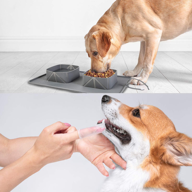 Dog Bowls Dog Food Water Bowls Collapsible Travel Bowls for Dogs Medium Small Dogs Cats Puppies Outdoor Food Water Feederwith Silicone Anti-Slip Mat and 3pcs Pet Tooth Brush（Gray） gray - PawsPlanet Australia