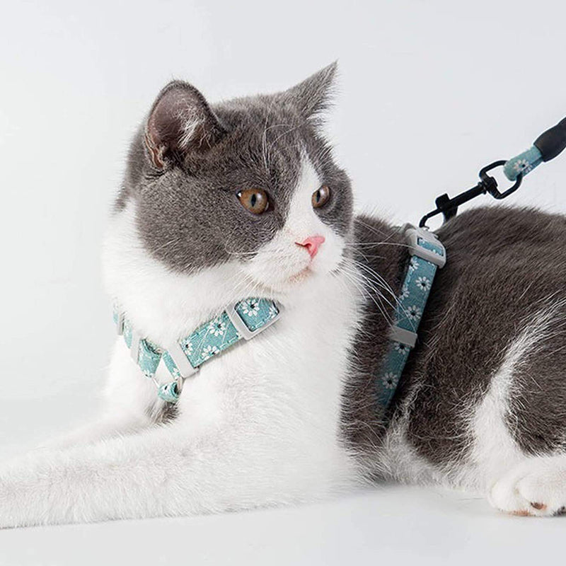 Simon Lee Woodham Cat Harness and Leash, Adjustable Vest Harnesses for Cats, for Cat Small Pet Outdoor Walking, Escape Proof Chest Strap with Safety Buckle (Light Green) - PawsPlanet Australia