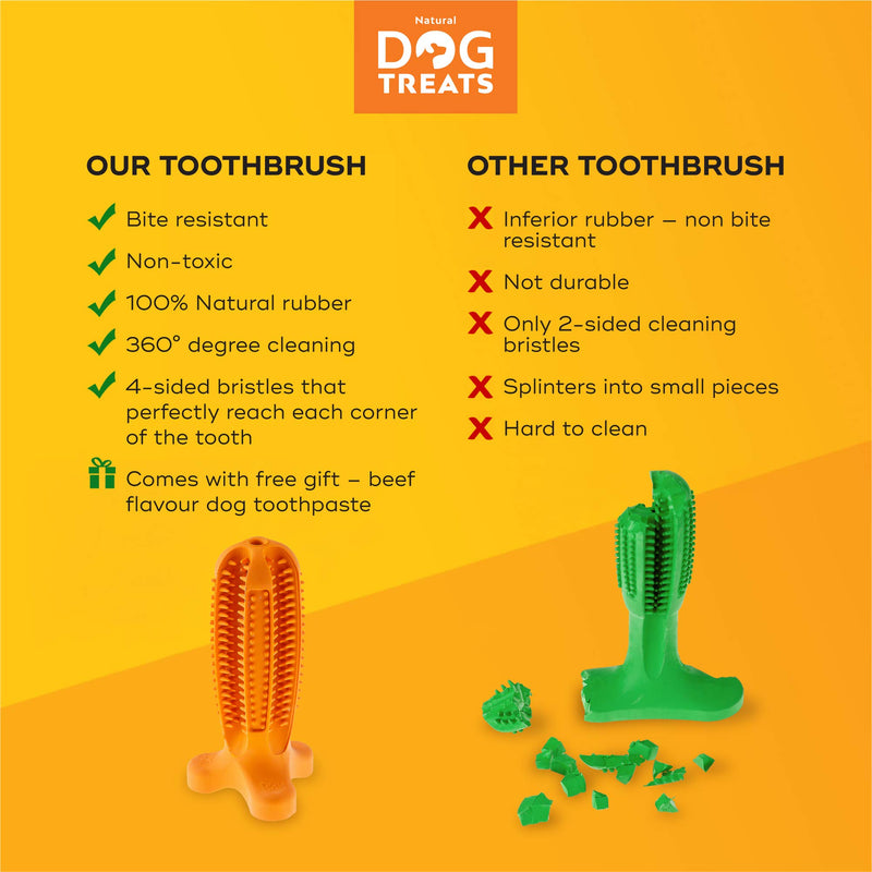 Natural Dog Treats Toothbrush Stick and Toothpaste Beef Flavor Dental Care Cleaning Set, 100% Natural Rubber Chew Toy for Dogs Set for Large Sized Dog Breeds - PawsPlanet Australia