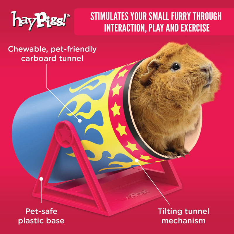 HAYPIGS Starter Set - Circus Themed Guinea Pig Toys and Accessories - Guinea Pig Toys - Guinea Pig House - Guinea Pig Bowl - Guinea Pig Tunnel - Guinea Pig Hideaway - Guinea Pig Food Bowl 2. Haypigs Starter Set - PawsPlanet Australia