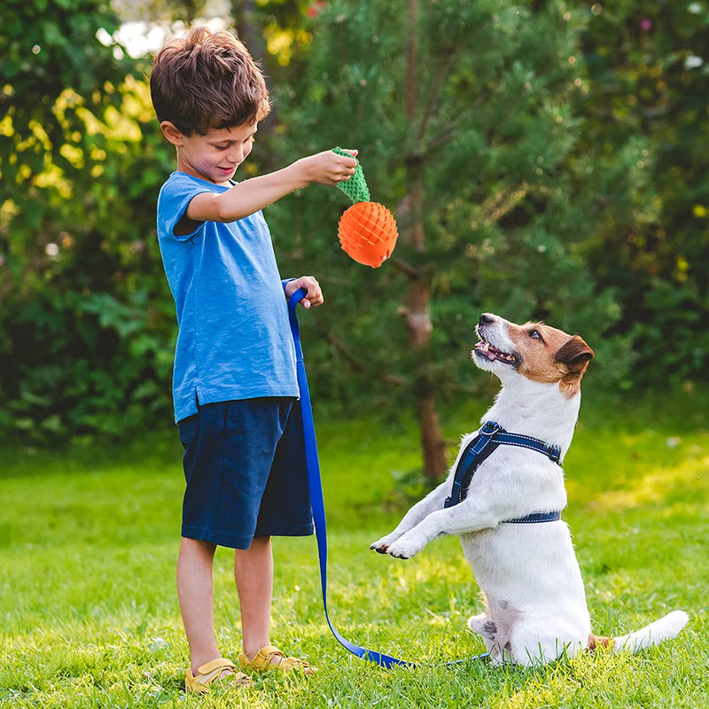 Clemas Indestructible Puppy Chew Toys - Dog Toys for Chew Chase Fetch Durable Rubber Squeaky Dog Toys for Boredom for Medium Dogs Large Dog Aggressive Chewers Tooth Cleaning Dog Gift (Orange) - PawsPlanet Australia