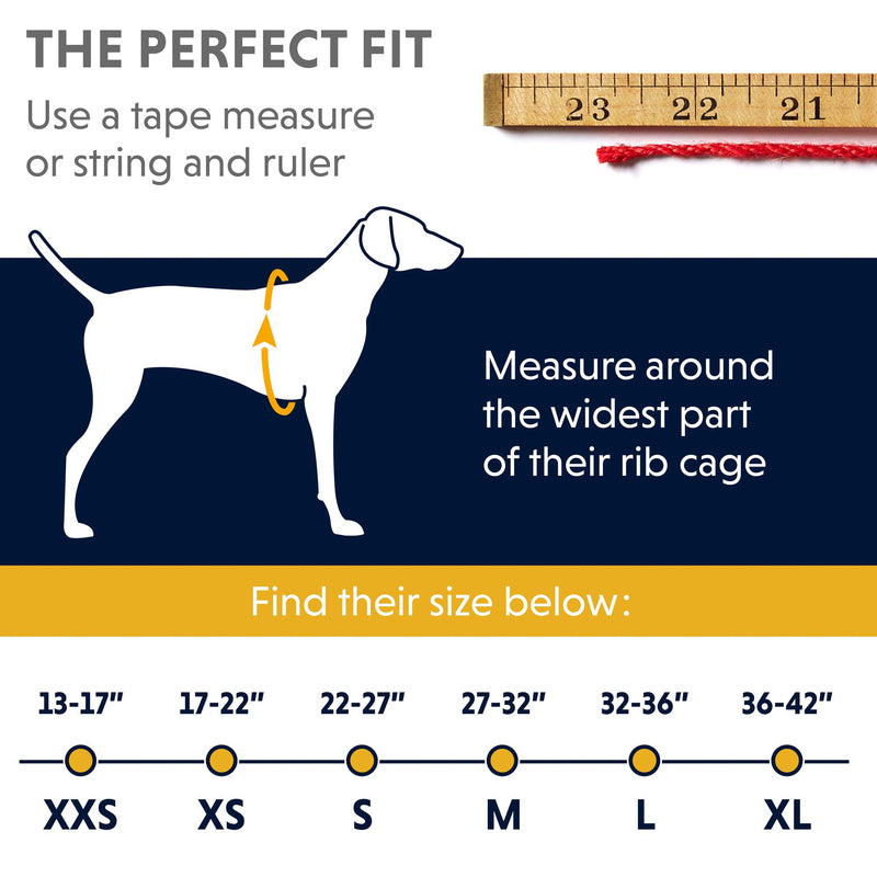 RUFFWEAR- Wind Sprinter Coat Ultralight Wind Resistant Jacket for Dogs, Very Large Breeds, Size: X-Large, Blue Atoll, 0585-409L1 XL - PawsPlanet Australia