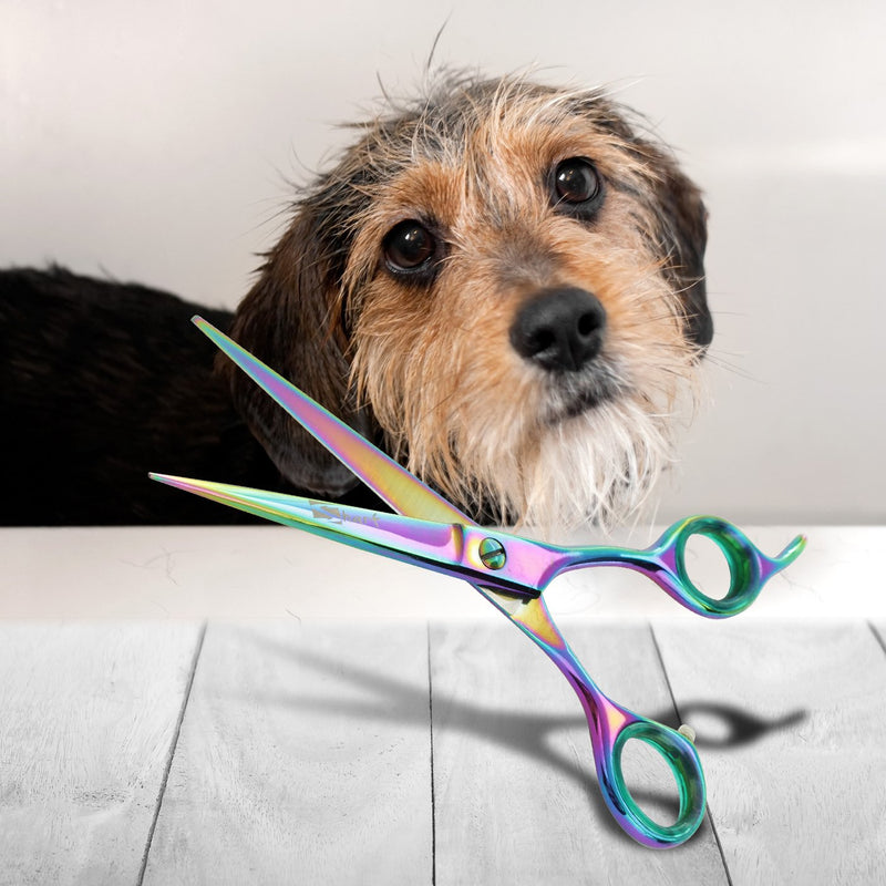 [Australia] - Sharf Professional 6.5" Rainbow Pet Grooming Scissors: Sharp 440c Japanese Clipping Shears for Dogs, Cats & Small Animals| Rainbow Series Hair Cutting/Clipping Scissors w/Easy Grip Handles 