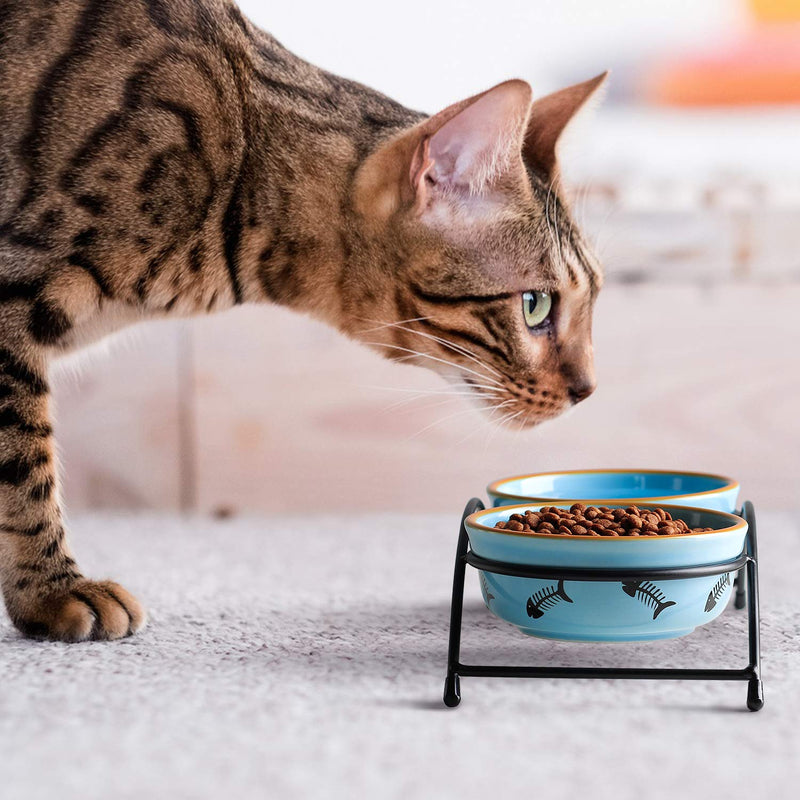 Y YHY Ceramic Raised Pet Cat Bowls, Cat Food Dishes and Water Bowls, 2 Cat Dishes, Gift for Cat and Puppy, Fish Bone Design, 355ML, Blue - PawsPlanet Australia