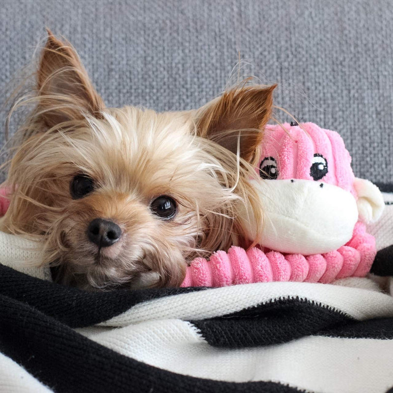 [Australia] - ZippyPaws - Spencer The Crinkle Monkey Dog Toy, Squeaker and Crinkle Plush Toy Small Pink 