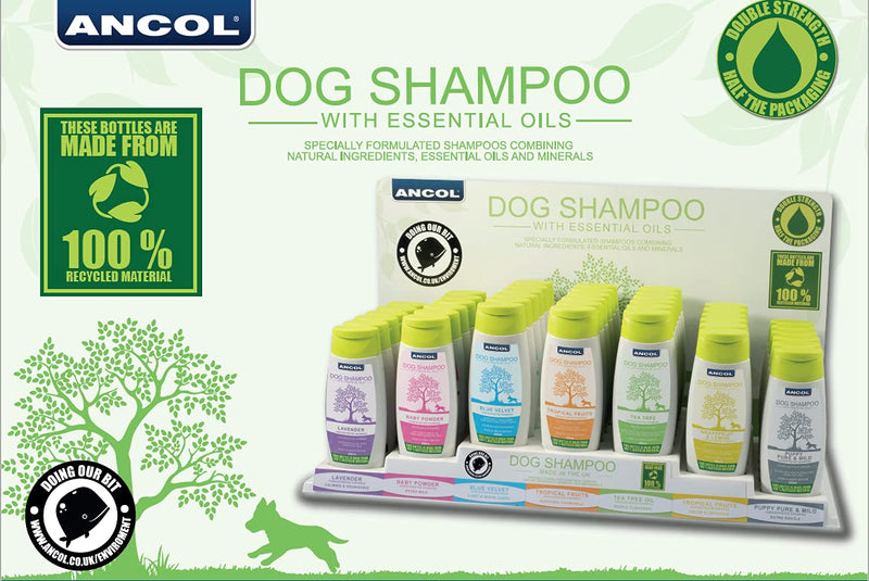 Ancol Dog Shampoo Tropical Fruits 200ml,Clear - PawsPlanet Australia