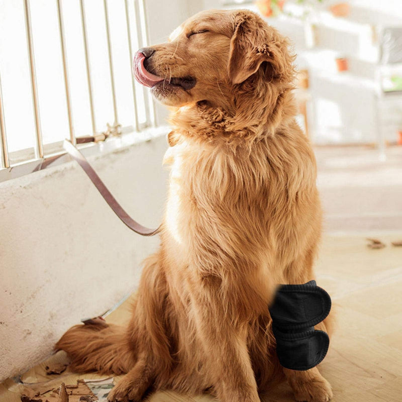 Atyhao Dog Leg Brace, 2Pcs Dog Joint Brace Canine Leg Hock Wraps Elbow Protector Warm Knee Pads for Injury and Sprain Protection Wound Healing Arthritis(Black L) Black L - PawsPlanet Australia