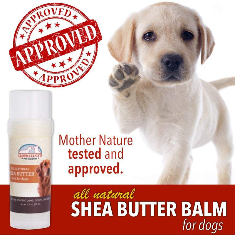 All Natural Shea Butter Balm for Dogs Treats Dry, Cracked, and Chapped Skin, Nose, and Paws. Coats, Soothes, and Heals Damaged Snouts and Pads. Mess Free and Easy to Use Application. - PawsPlanet Australia