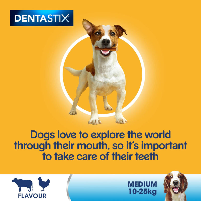 Pedigree DentaStix - Daily Dental Chews For Medium Dogs (10 - 25 kg), 2.88 kg (1 x 112 Sticks) - PawsPlanet Australia