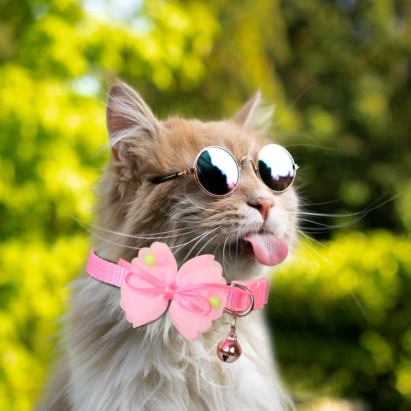 Cat Collar Pack of 3 Cat Collars with Safety Clasp Cat Collars Cat Collar Adjustable 19-32 cm Cat Collar Cute Kitten Collars for Pets Cats and Puppies - PawsPlanet Australia