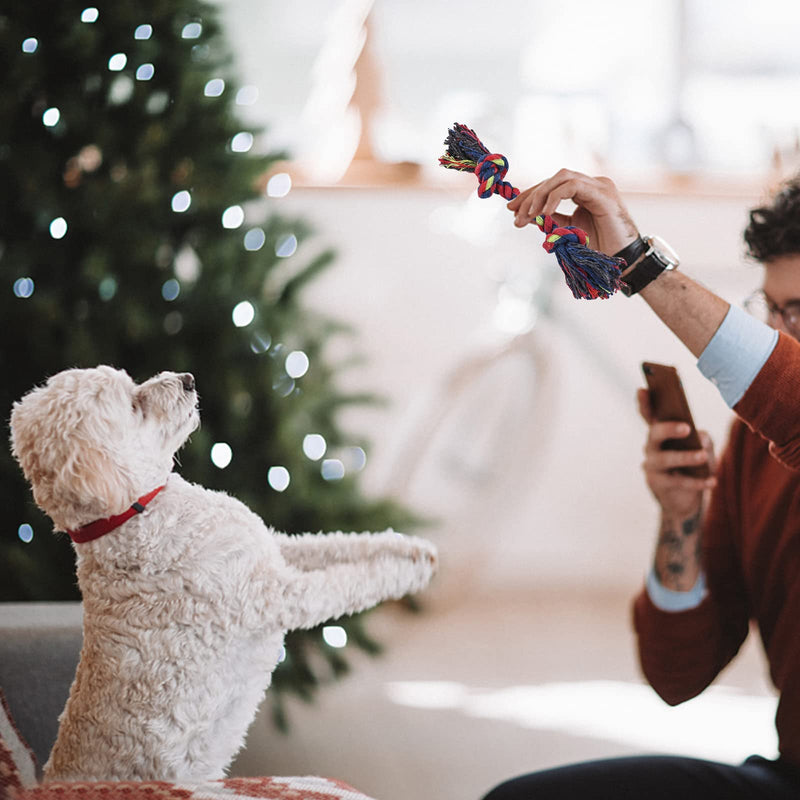Dog toy, pack of 3 dog chew toys, dog toy indestructible, Christmas dog toy, dog toy Christmas, dog cuddly toy for medium-sized dogs, small dogs, puppy toy B - PawsPlanet Australia