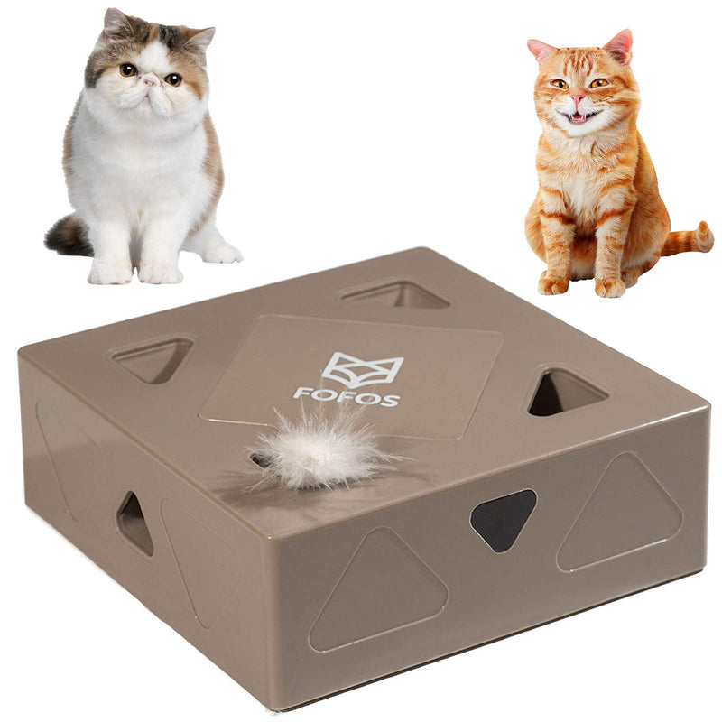 [Australia] - Lylyzoo Interactive Cat Toys Magic Box, Feline Toy Boxes, Bouncing Feathers Game for Cats Ambush Teasing Catching Toy 