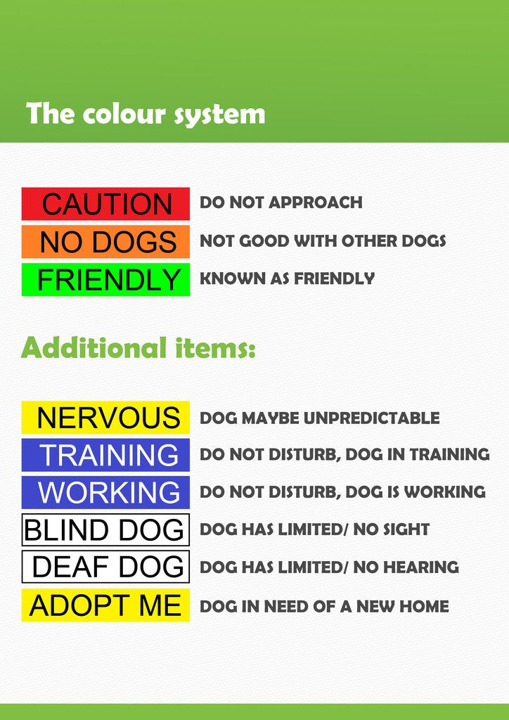 [Australia] - Caution Dexil Friendly Dog Collars Color Coded Dog Accident Prevention Leash 6ft/1.8m Prevents Dog Accidents by Letting Others Know Your Dog in Advance Award Winning 