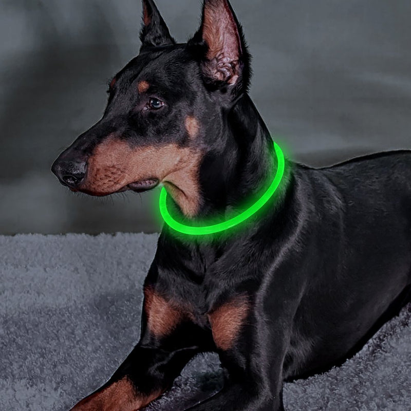 [Australia] - Clan-x USB Rechargeable LED Dog Collars Reflective Dog Collar, Light Up Dog Collars for Small Medium Large Dogs Green 