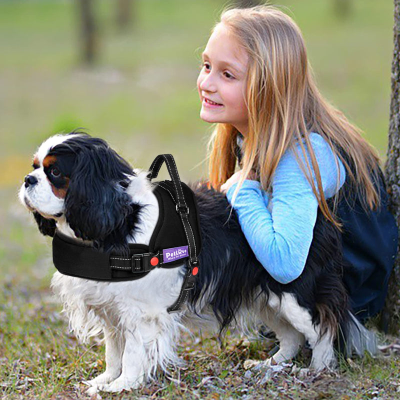 PETLOFT Dog Harness, Dog Vest Harness No Pull with Easy Control Handle Adjustable Soft Lead Padded No Choking Pet Harness for Small Medium Dogs (M, Black) M - PawsPlanet Australia