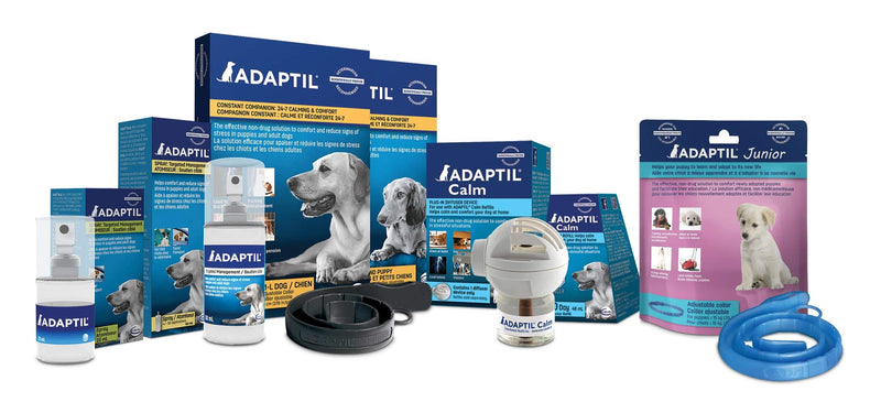 ADAPTIL Spray 20 mL – Calms & Comforts Dogs During Travel, Veterinary Visits and Stressful Events - The Original D.A.P. Dog Appeasing Pheromone Spray (20mL Spray, 1-Pack) 20ml - PawsPlanet Australia