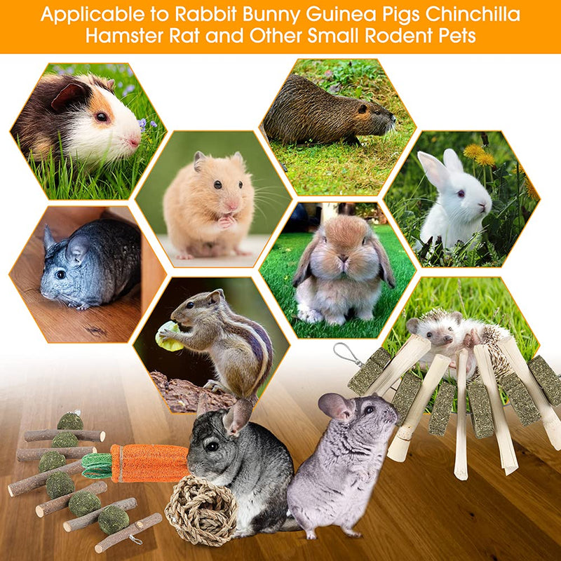 iBoBoy Rabbit Chew Toys Bunny Toys Guinea Pigs Chew Treat Play Balls Rolling Molar Toys Cage Entertainment Accessories for Hamsters Rat Chinchilla Gerbils with Loofa Carrot Toy - PawsPlanet Australia