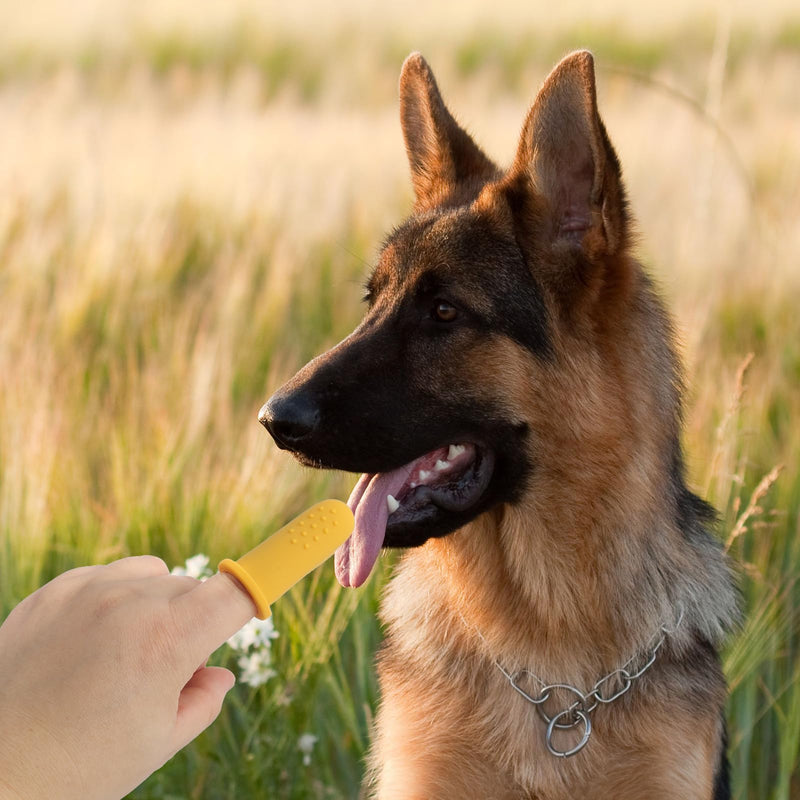 FANTESI Pack of 10 finger toothbrushes for dogs, silicone dog toothbrush, BPA-free dental care finger cots toothbrush for small and large dogs, gentle on the gums - PawsPlanet Australia