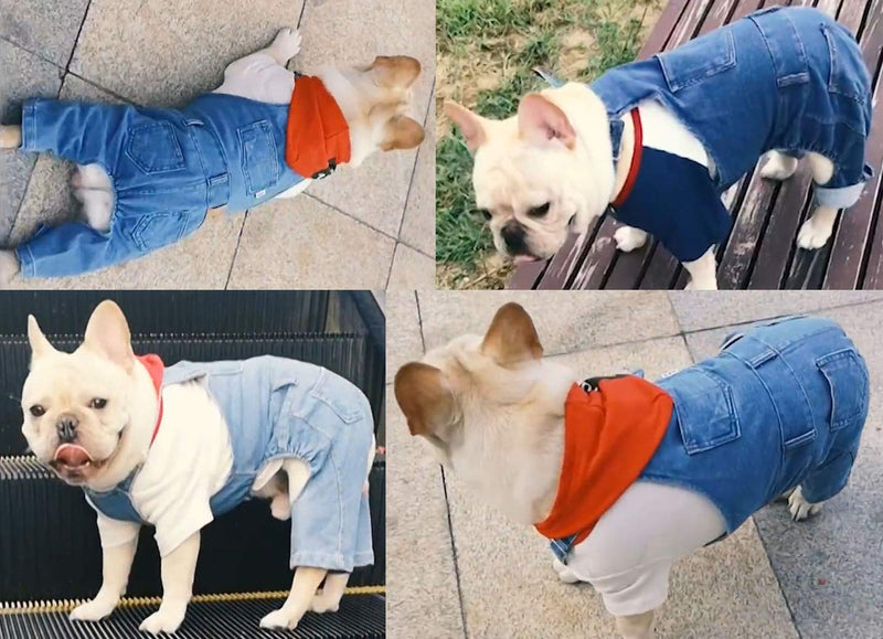 [Australia] - PetBoBo Dog Clothes Costumes, Pet Jean Overalls Clothes Pet Fashion Pants 5 Sizes Optional XL Neck:34-52cm chest:50cm Length:35cm 