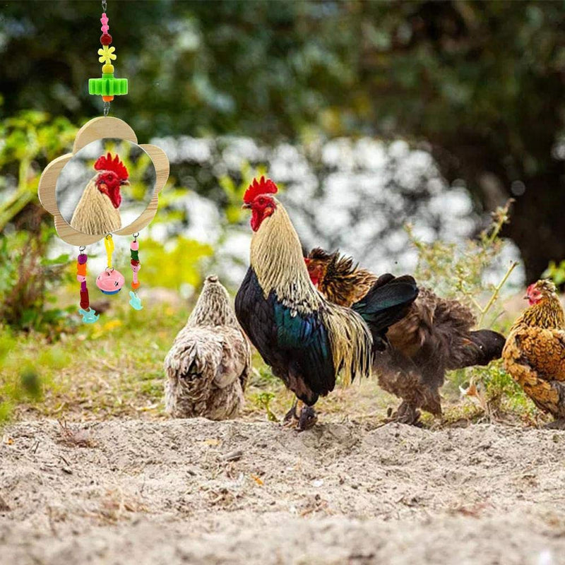 Bird Mirror Bird Mirror Hanging Bell Chicken Toy Hanging Chicken Mirror Toy With Bell Wooden Pecking Toy For Chicks Hens Coop And Small Birds - PawsPlanet Australia