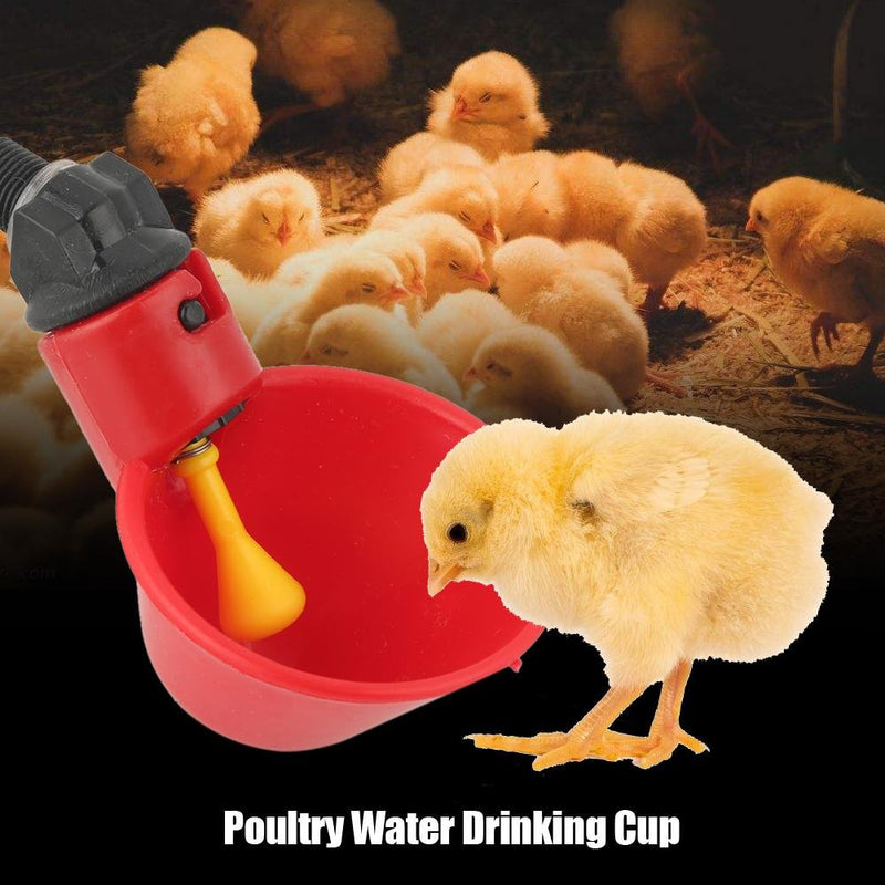10 PCS Chicken Drinker Automatic Poultry Water Drinking Cups Bowl Dispenser Plastic Watering Feeder for Bird Quail Pigeon Hen Duck Livestock - PawsPlanet Australia