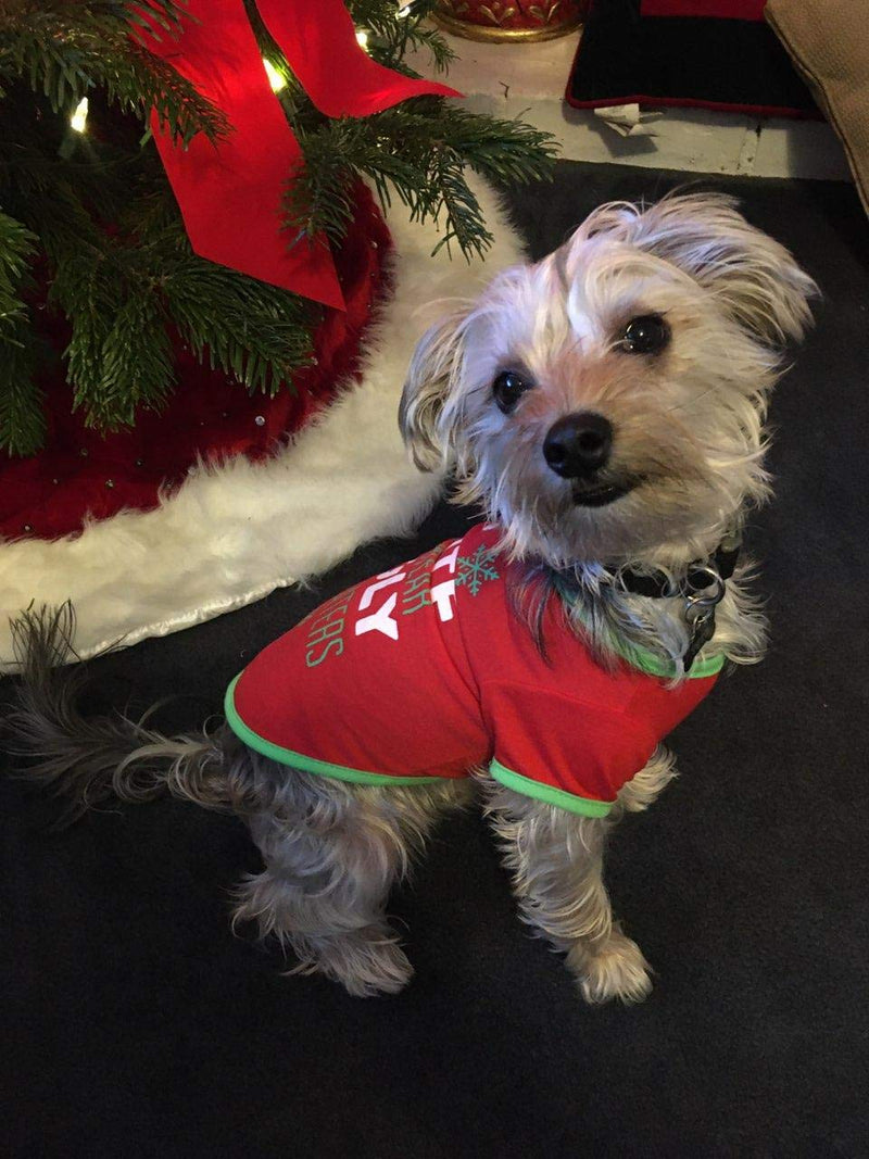 [Australia] - GMason Ugly Sweater Premium Small Pooch Puppy Dog Holiday Christmas T-Shirt - Too Cute to Wear Ugly Sweater 