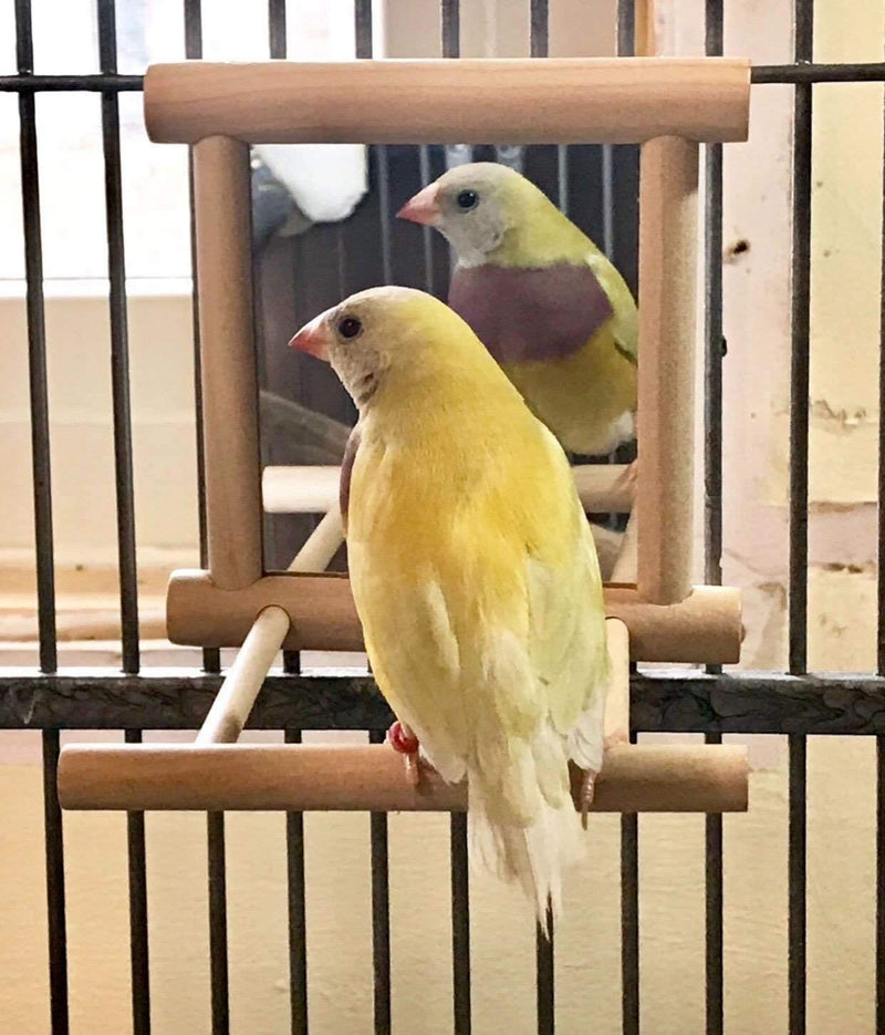 [Australia] - Blessed family Birds Toy for Cage,Parrot Hanging Swing with Mirror,Natural Wooden Play Toys, Pet Bird Cage Accessories with Metal Hook Wood 